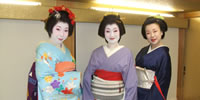浅草の振袖さんと芸者さん写真