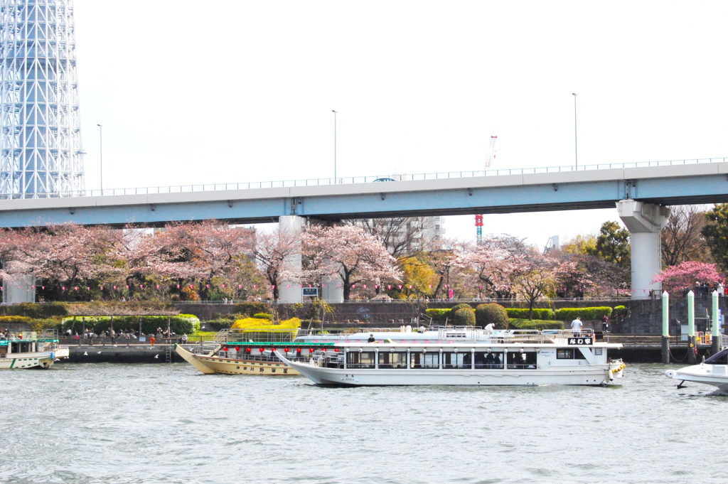屋形船 なわ安 桜・花見屋形船